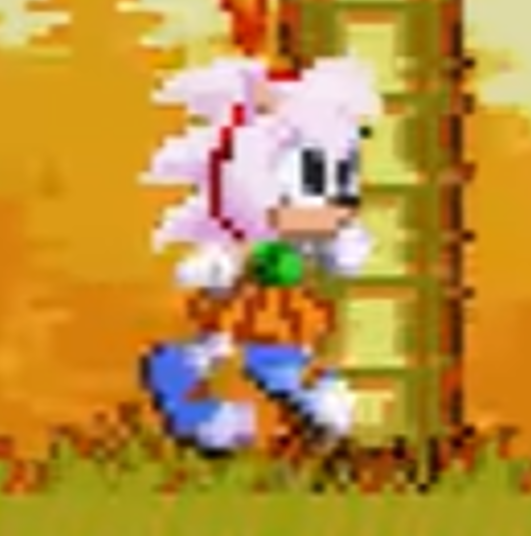 Flicky's Super State, Sonic Wiki Zone