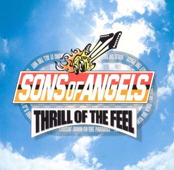 Thrill of the Feel album cover