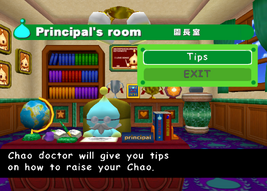 Principal-chao