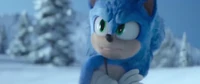 Sonic2SnowboardFightScreenshot4.png (921 KB)