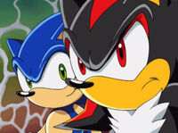 Sonic and Shadow