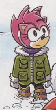 Fleetway amy rose Clearance