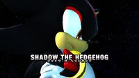 Shadow the Hedgehog's captions in the Japanese version.