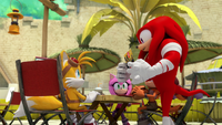 SB S1E45 Tails Knuckles pamphlet