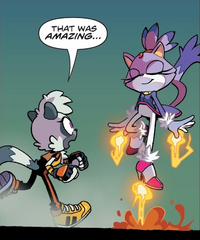 Blaze The Cat Idw Sonic News Network Fandom