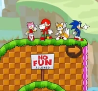 Sonic, Tails, Knuckles, and Amy in Angry Birds Friends