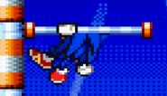 Sonic Advance 2