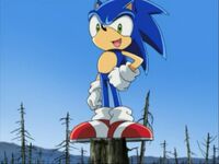 SX74 Sonic standing on treetop