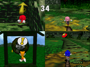 SS Sonic Tag