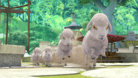 SB S1E34 Sheep run