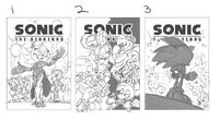 Early concepts of the regular cover.