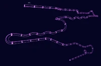 Special stage Race 2 map