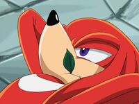 "The Adventures of Knuckles and Hawk"