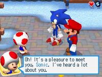 Mario & Sonic at the Olympic Winter Games (Nintendo DS)