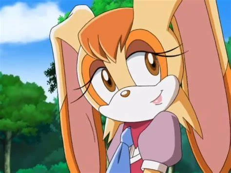 Vanilla the Rabbit | Sonic X: Heroes Forever Wiki | Fandom