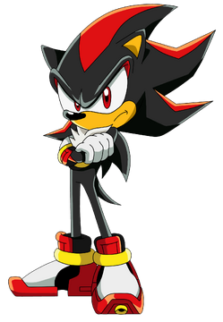 Sonic the Hedgehog V.S. Shadow the Hedgehog, This time, in Sonic X