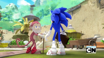 Old Monkey and Sonic