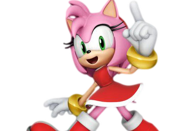 Amy Rose Ariciul Sonic Shadow the Hedgehog Sonic Dash 2: Sonic