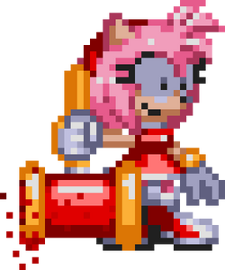 VS Amy (Freedom City) | Sonic.exe Spirits Of Hell Wiki | Fandom