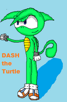 Dash in his new art style