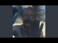 -BONKERS--2