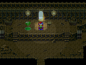 Kartilla Lighting Effects 1.png