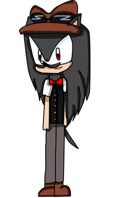 Sonic the Hedgehog/Darkest Shadow's Universe, Sonic Fanon Wiki