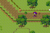Fox Forest 1.png