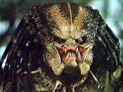 Classic Predator