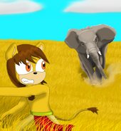 Eleven year old Cyo being chased by a elephant in musth