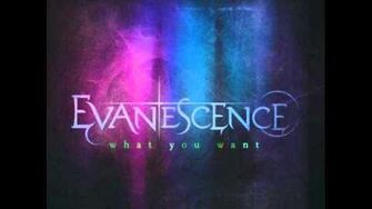 Evanescence_-_What_You_Want