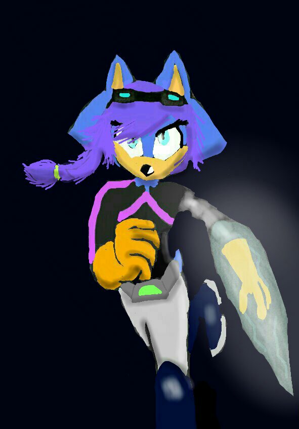 Elise the Hedgehog, Sonic Fanon Wiki