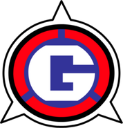 G.U.N (Guardian Units of Nations)