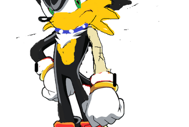 Sonic X: The Shadow Snow, Ceauntay Gorden's junkplace Wiki