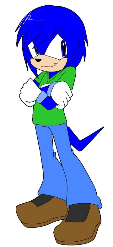 Smash The Echidna | Sonic Fanon Wiki | Fandom