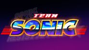 Team Sonic Logo