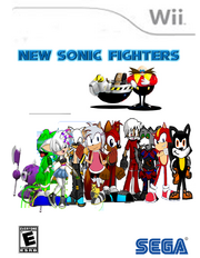 Sonic Fighters Case