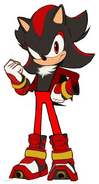 Shadow's new, permanent trademark outfit