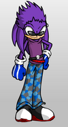 Rindo the Echidna