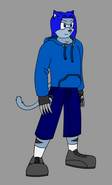 Kinnik the Wildcat