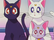 Luna, Artemis and Diana