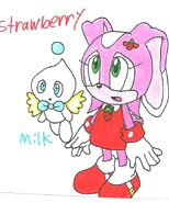 Strawberry the Strawberry Rabbit & Milk the Chao