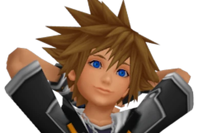 Sora | Sonic's Adventure Wiki | Fandom