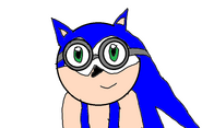 Sonic, with glasses on, smiling