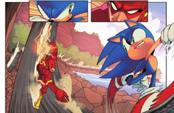 Sonic Flash Race