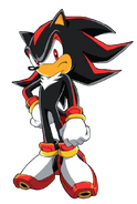 Sonic X