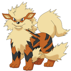 Arcanine AG anime