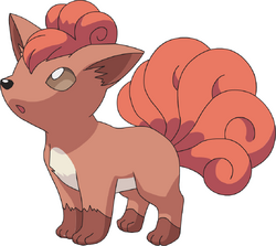 Vulpix AG anime