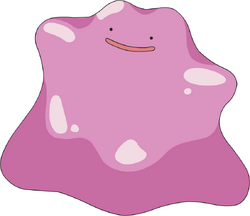 Ditto Evolves? 