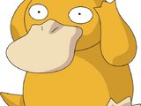 Psyduck